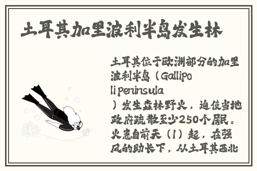 楼梯间一边上楼梯一边撞
